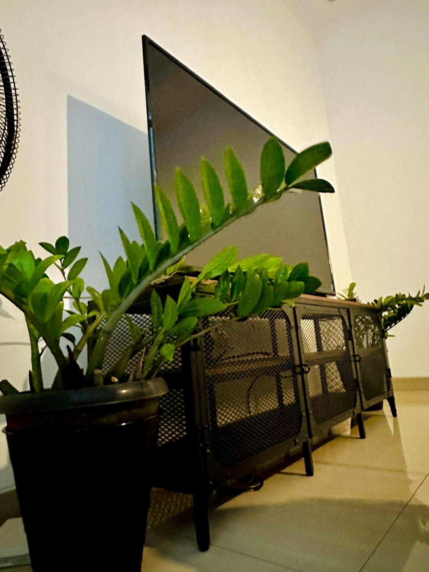 4-Bedroom Home In South Jakarta Nuansa Swadarma Residence By Le Ciel Hospitality Buitenkant foto